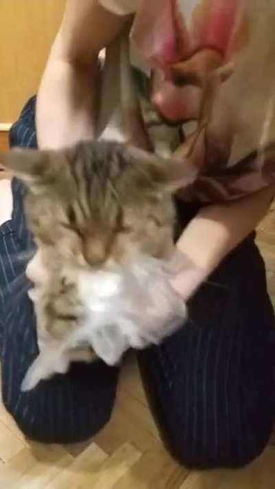 Боря, блять! Ну почти