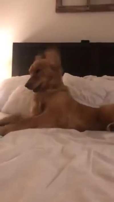 You make the bed, and I unmake it.