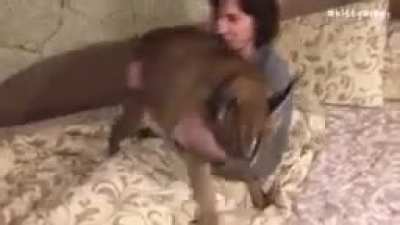 Big Floppa floppin' (HD slow-mo footage)