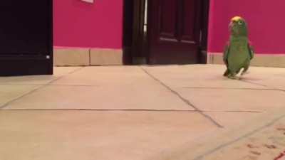 This guy laughing like a villain