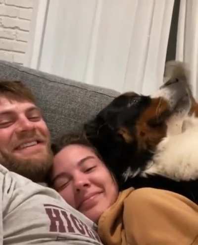 "I don&rsquo;t think you guys see me... here I am, pet me!&rdquo;