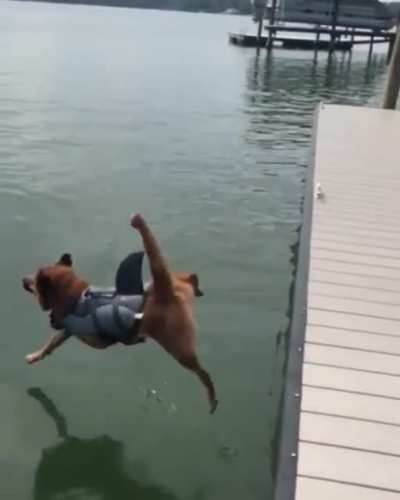 Majestic jump!