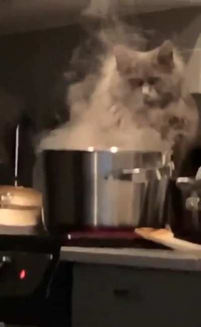 That&rsquo;s a Disney movie villain if I&rsquo;ve ever seen one