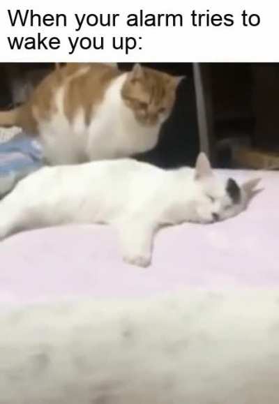 You can't wake me up