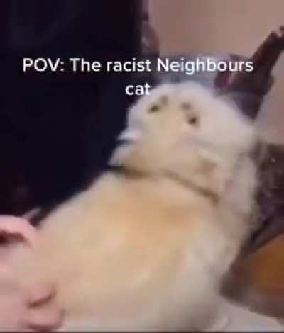 CAT.