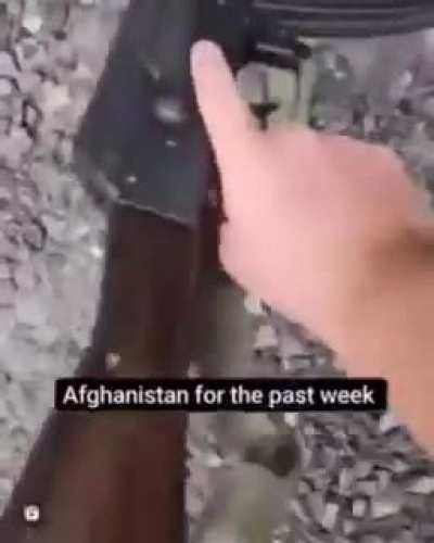 Your tax dollars at work
