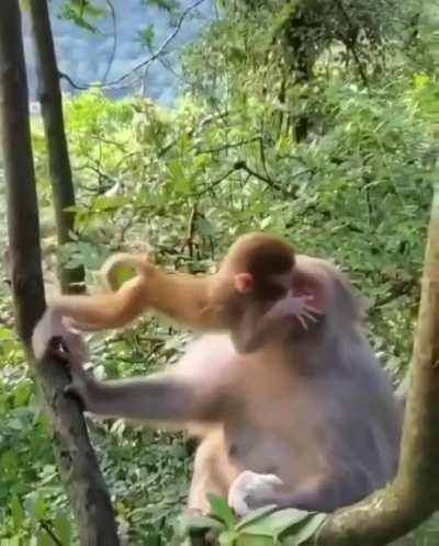 I love you Mama