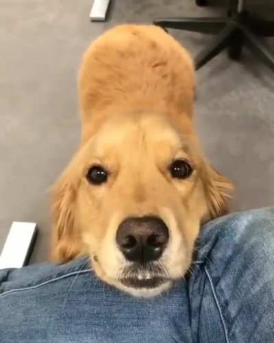 Don&rsquo;t boop, just film