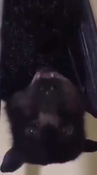 Cria&ccedil;&atilde;o de batman!