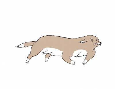 Blursed dogo