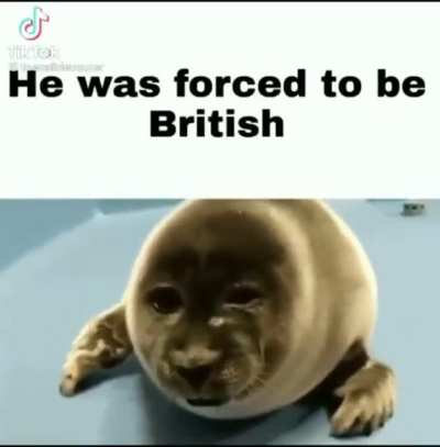 These damn bri&rsquo;ish