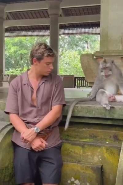 Don&rsquo;t play with monkeys!!