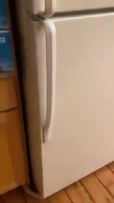 Da!