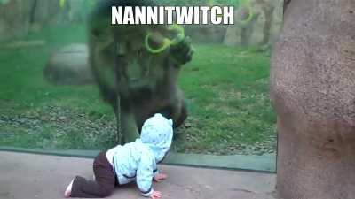 &egrave; twitch