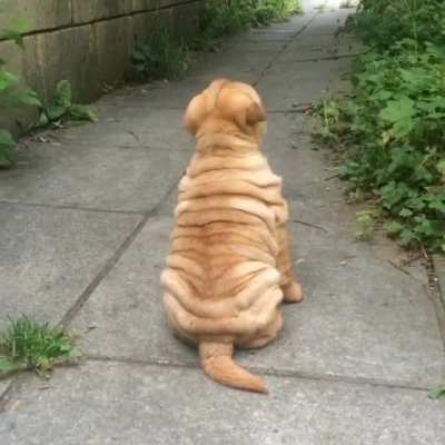 I&rsquo;m trying to ignore mommy