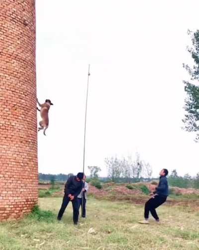 Maybe maybe maybe