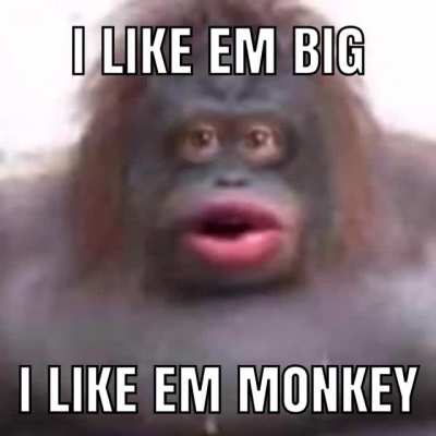 Monke