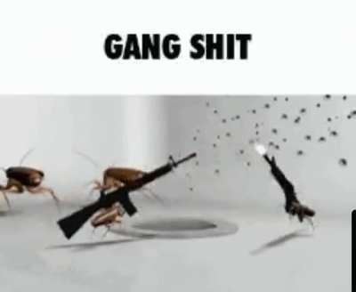 Gang