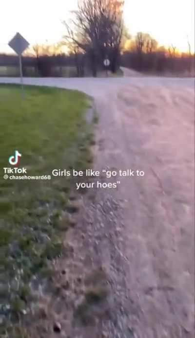 Holesome Comeback