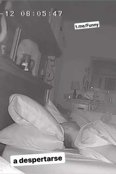 Psycho cat ...