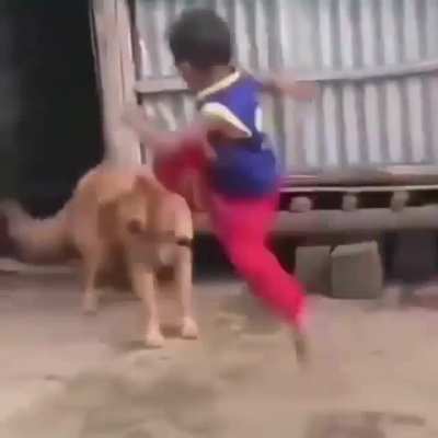 Karate kid gone wild