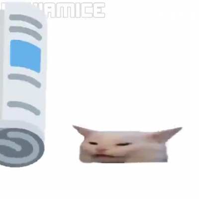 rule