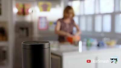 Amazon Echo - Vortigaunt Edition