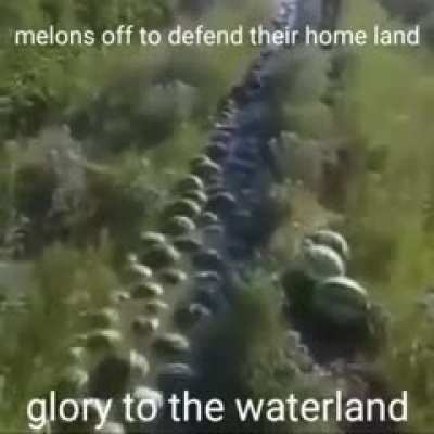 My melon people need me