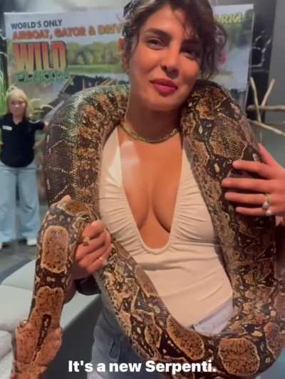 'Notice a theme here&hellip; it&rsquo;s ssssssubtle.' - IG October 2025