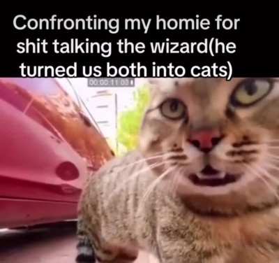I&rsquo;ve got a potion for that