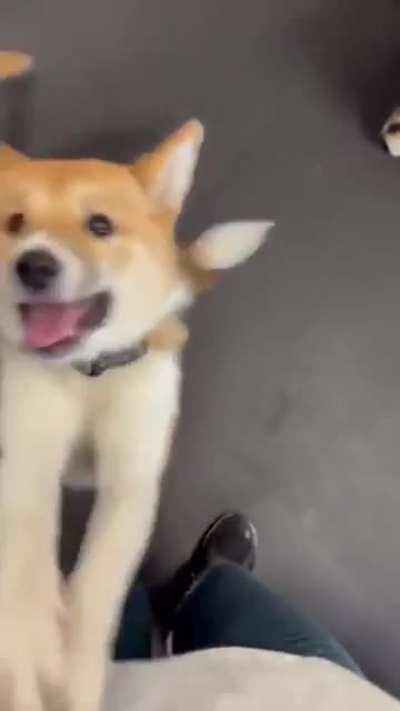 Oh hello!
