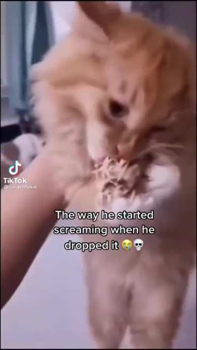I feel the same way dropping delicious meat