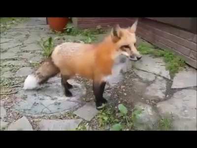 Tactical refluff