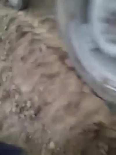 HMFT after I break up a fight between dogs