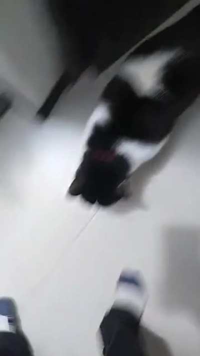 assassination attempt