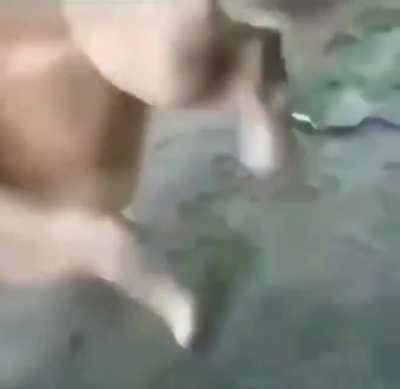 &iquest;Que culpa tiene la gallina?