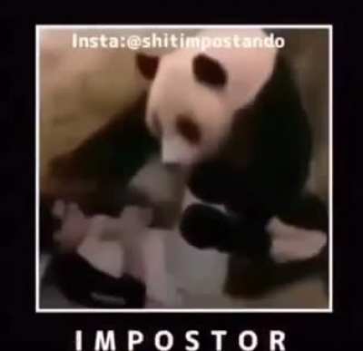 SUS