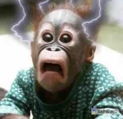 Shock monke