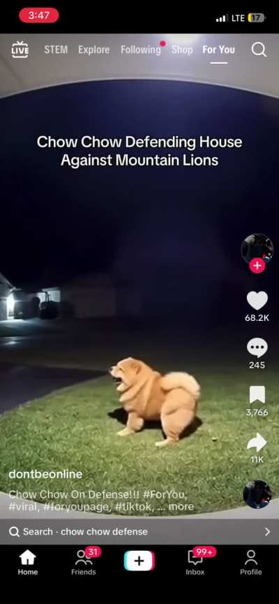 [HELP] please, I&rsquo;m pretty sure this is ai, right?
