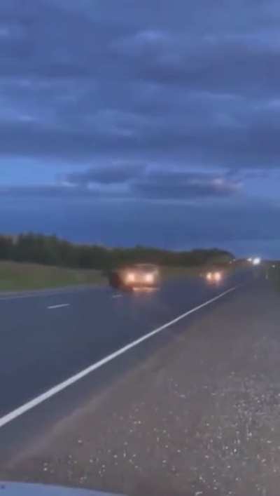 Moose running in-front of a moving car
