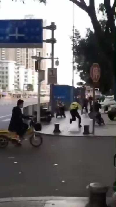 简单溜个狗