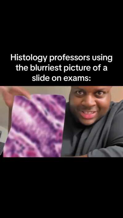 Histology