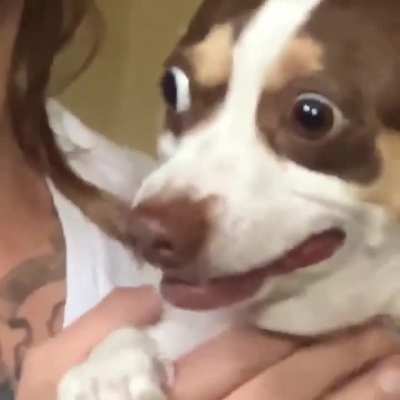 All hail Mr bubz