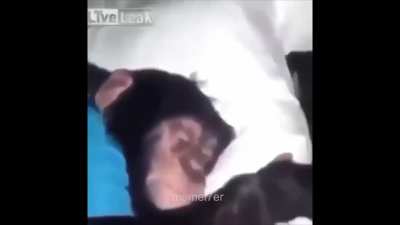 monke wet dreams