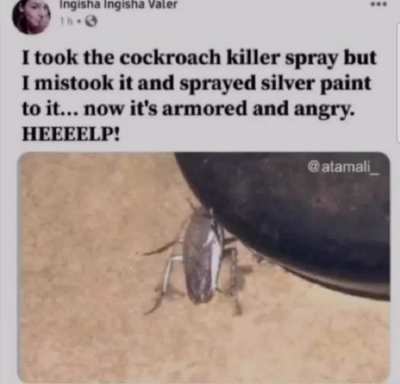 Iron roach chrome 