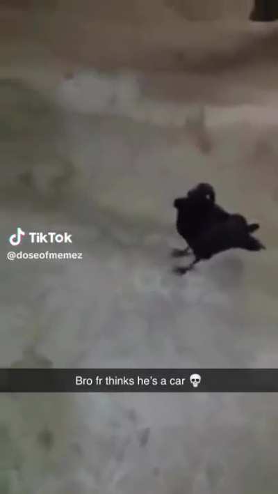 Uzi are you ok?