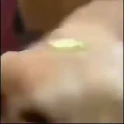 No sé si aún les hace gracia el perro mantequilla, díganme plos 😭