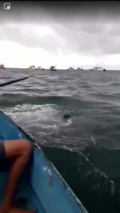 Bro catching