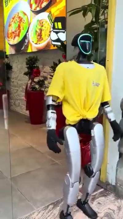 Sobre la proliferaci&oacute;n de 'robots camareros'.