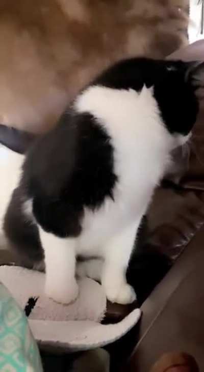He faced the camera alright